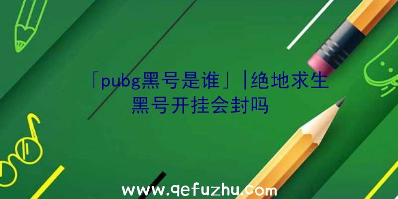 「pubg黑号是谁」|绝地求生黑号开挂会封吗